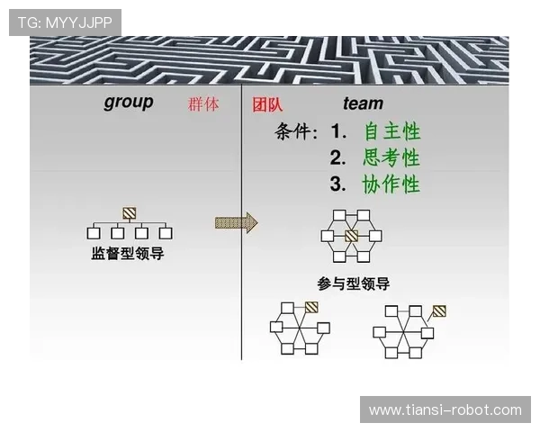杭州羽毛球队在世界锦标赛中的团队协作表现分析与点评