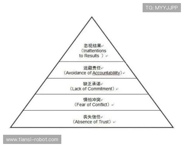 西安排球队的团队协作探讨与排球竞技精神的结合分析